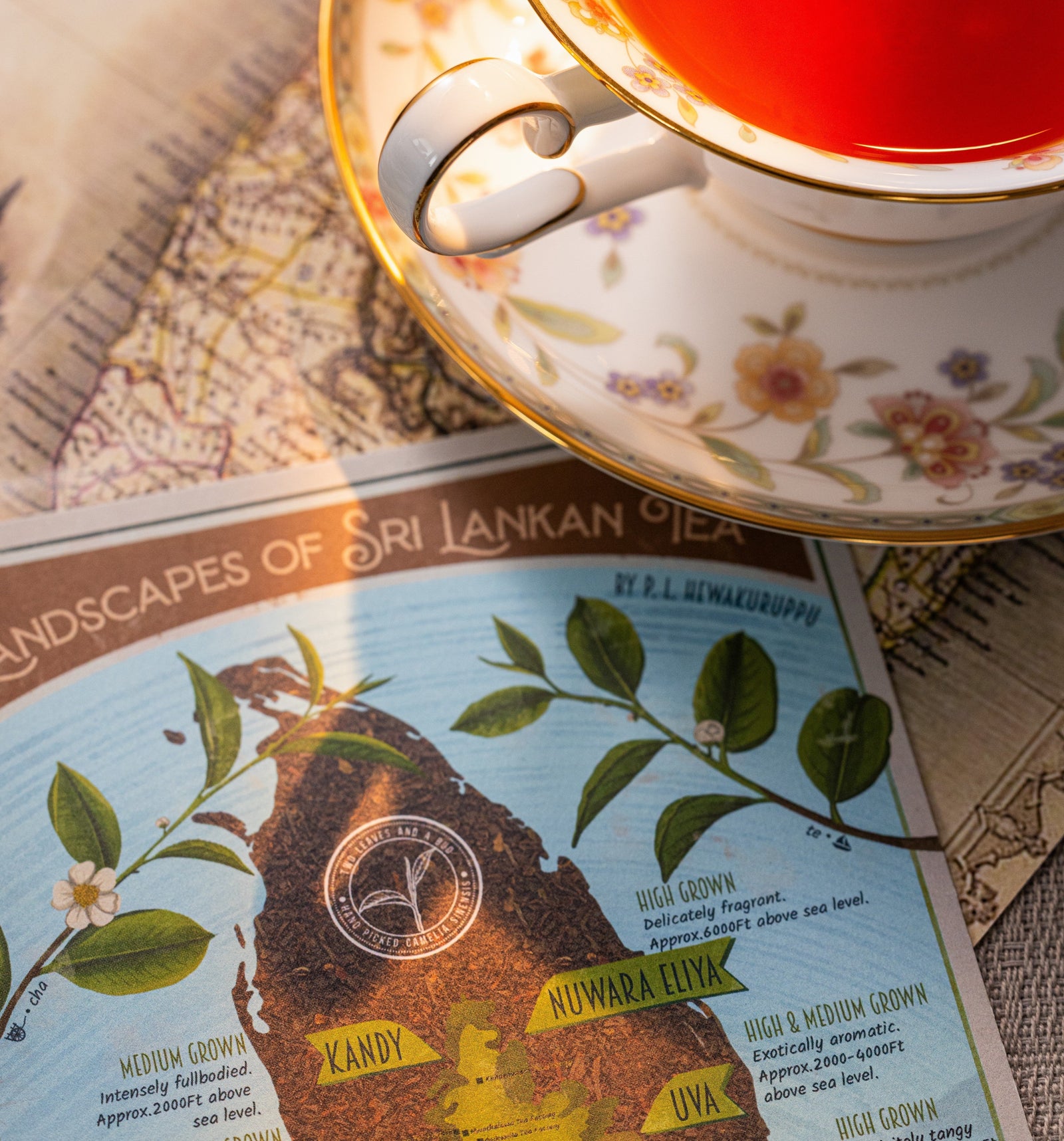 What Makes Ceylon Tea So Special?