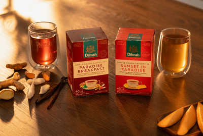 Discovery Gourmet