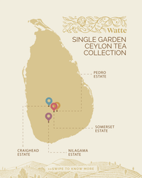 Watte Single Garden Ceylon Tea Set